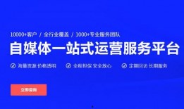 91直播号买卖平台,打造直播行业便捷交易新生态