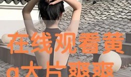 a片视频网,暗流涌动的网络世界